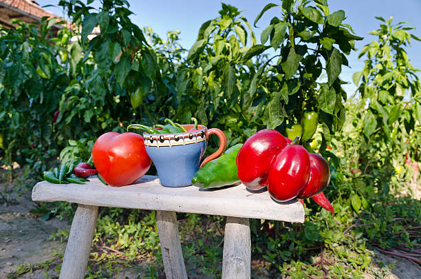 Preserving the Bounty